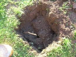 La concimaia è invece una buca scavata nel terreno in cui possiamo accumulare gli scarti organici.