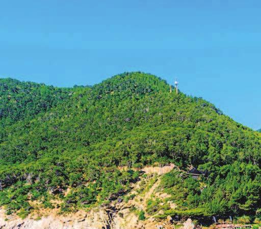 Baleari IBIZA Veraclub Ibiza LA SPIAGGIA L ampia spiaggia pubblica situata di fronte al villaggio è attrezzata con ombrelloni e lettini a pagamento fino ad esaurimento.