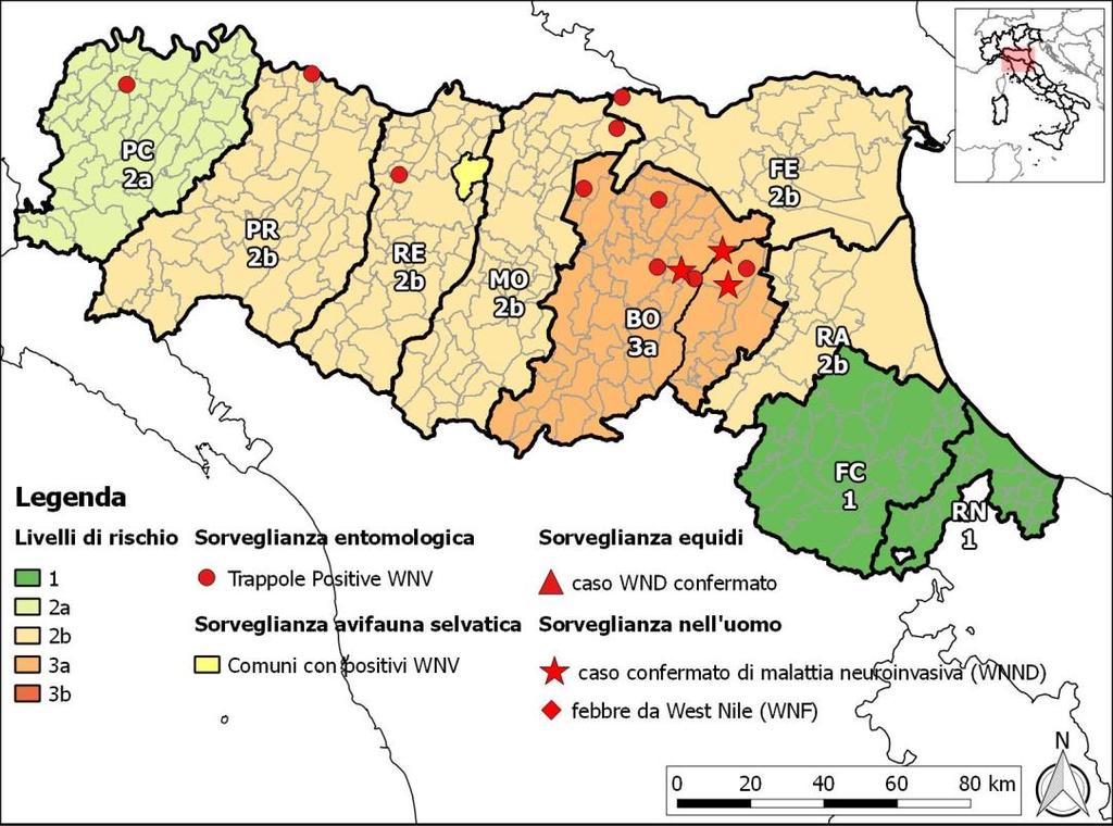 1. Situazione Epidemiologica West Nile virus in Emilia-Romagna Le attività di sorveglianza sull avifauna selvatica ed entomologica sono cominciate rispettivamente nel mese di maggio e giugno.