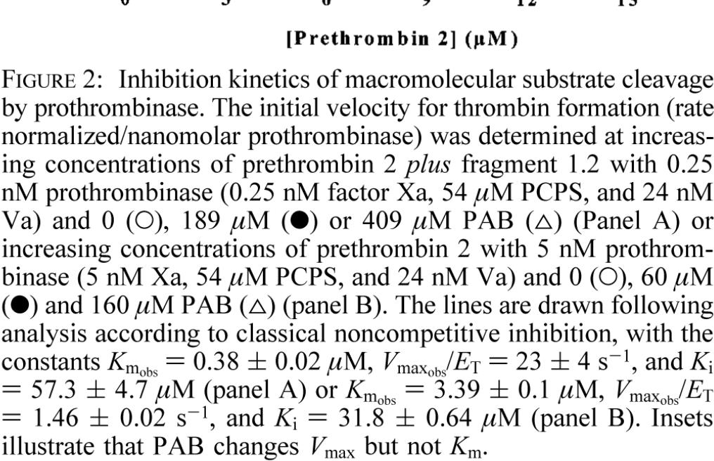 Non competitive inhibition when