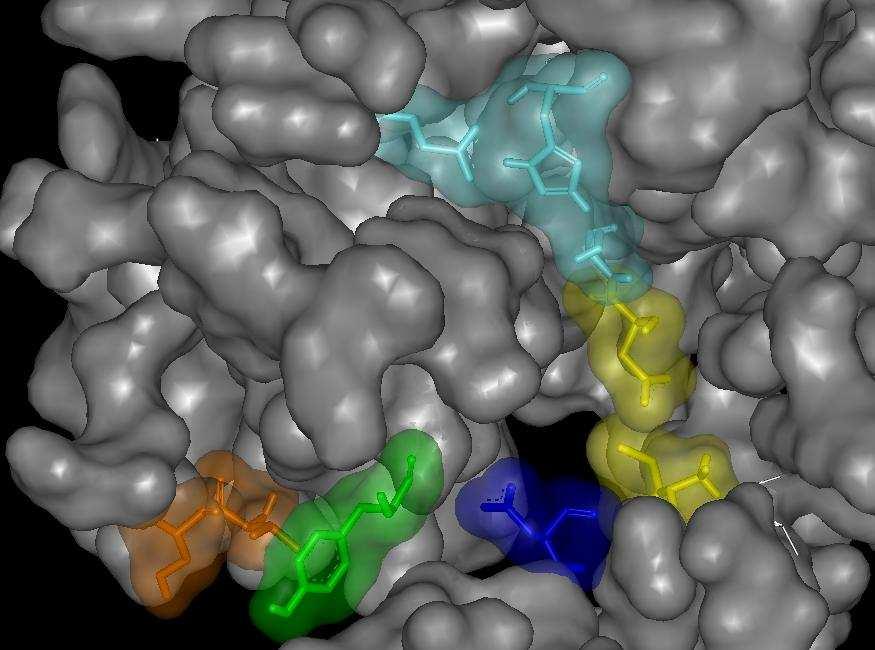 Catalytic Triad DX 9065a Internal Salt