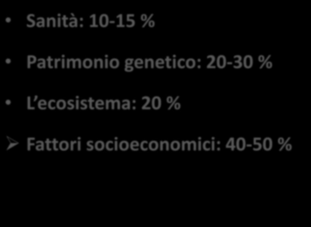 % L ecosistema: 20 %