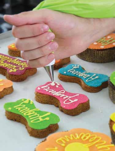 Bau bau cake nasce dall amore per i nostri amici a quattro zampe, dalla voglia di premiarli in modo sano e di festeggiare con loro compleanni e ricorrenze speciali e, perché no, per viziarli e