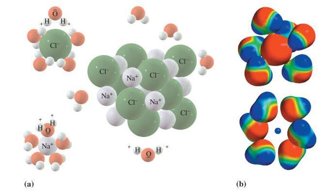 Solido ionico in solvente covalente polare Le molecole di H 2 O si comportano come dipoli e si orientano verso i cristalli di NaCl, in modo tale