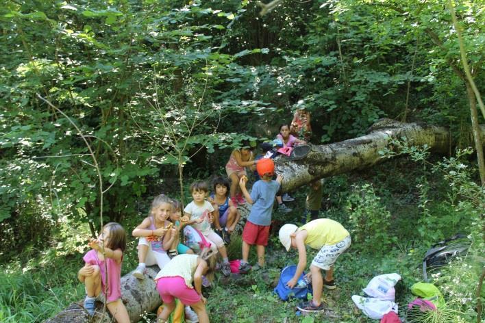 9) Giocabosco Indiscusso scenario di fiabe e leggende, il Bosco è fatto anche per imparare giocando!