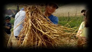 Partenza da Valli Unite a piedi, attraversando campi, boschi e vigne giungeremo alla piccola frazione di Sant A losio,