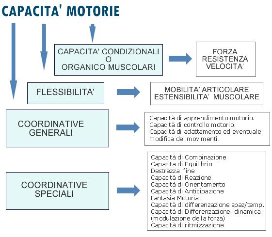 SCIENZE MOTORIE E ATTIVITA SPORTIVE TEORIA Capacità motorie Ma cosa andiamo ad allenare? le "CAPACITÀ MOTORIE"... proviamo a fare ordine.