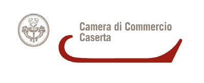 INDICATORI AMBIENTALI URBANI CASERTA E L AMBIENTE 4 trimestre 2011 Fonte: ISTAT Elaborazioni a cura dell Ufficio Studi