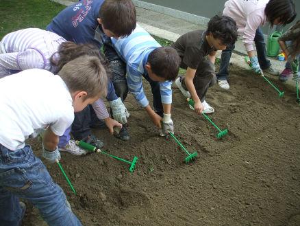 Per la Scuola primaria Educazione