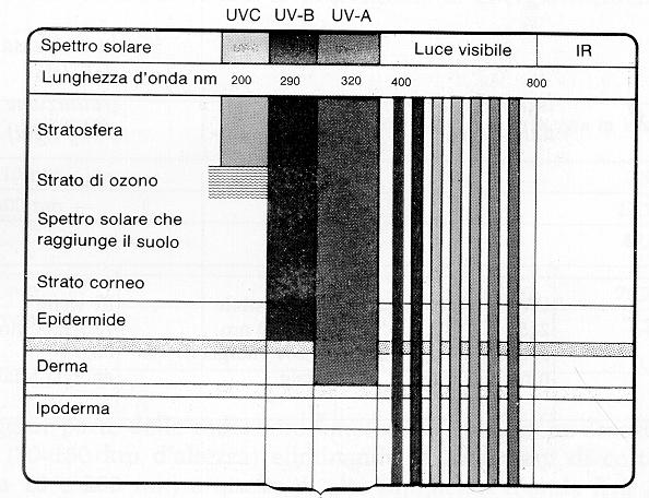 Penetrazione delle