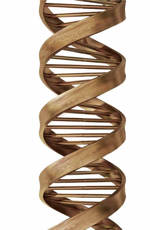 LE PIÙ SOLIDE TECNOLOGIE DEL LEGNO SONO IL NOSTRO DNA SCM.