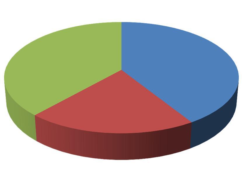 Situazione attuale dei vitigni Altri vitigni 38% 41% INTERNAZIONALI AUTOCTONI