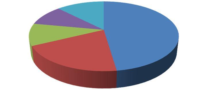 REBO DINDARELLA ALTRI (< 1 ha) Elaborazione fatta su dati forniti dalle