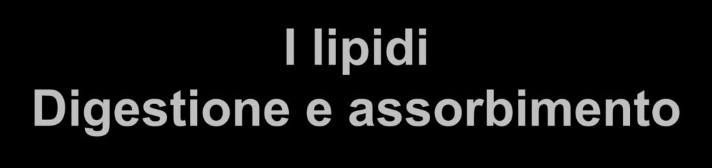 I lipidi