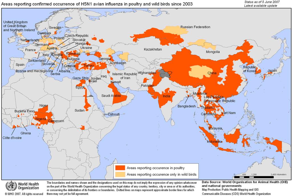 Influenza Aviaria Aree con casi