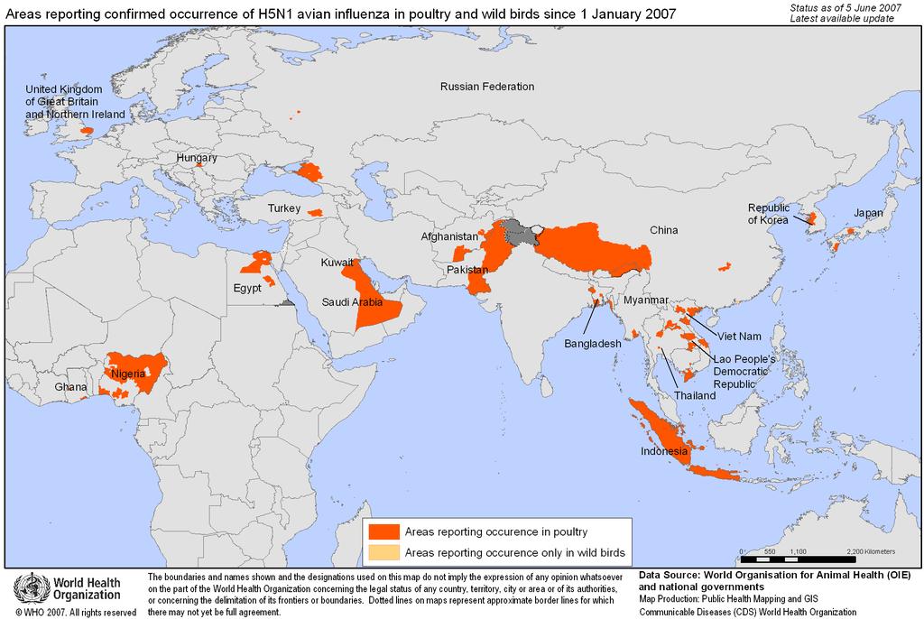 Influenza Aviaria Aree con casi