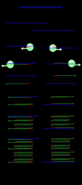 POLIMERASE CHAIN REACTION (PCR) procedura per