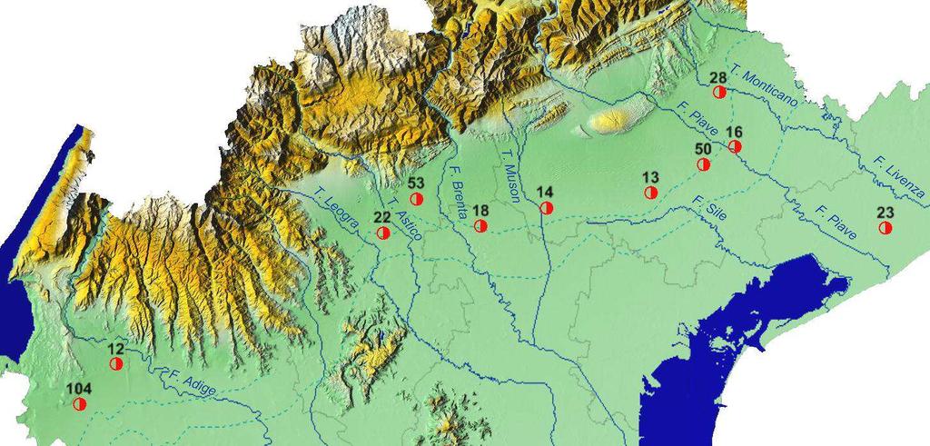 Situazione acque sotterranee al 31 Maggio Livelli freatimetrici delle stazioni di riferimento della pianura veneta.