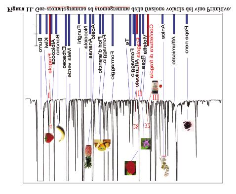 devono essere mirate ad estrarre più tannini da bucce e vinaccioli (proantocianidine e flavani reattivi alla vanillina) sia a stabilizzare il colore favorendo il più possibile le reazioni di