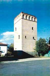 STORIA LOCALE La storia ritrovata (85) VECCHIE TRADIZIONI CASALECCHIESI Avete presente il Sempreverde o Bosso (Buxus sempervirens), l elegante arbusto dalle foglioline lucenti che orna le siepi dei