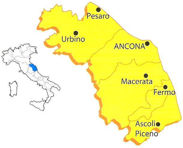 Rischio sismico: Marche e provincia di Ancona MARCHE (zona sismica 1,2,3) 236