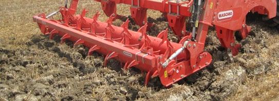 RULLI I rulli garantiscono un buon affinamento del letto di semina e permettono al contempo il compattamento del suolo