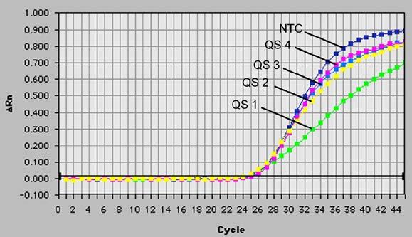26: Rilevazione del Controllo interno (IC) mediante la rilevazione di un segnale di fluorescenza VIC (ABI PRISM 7700