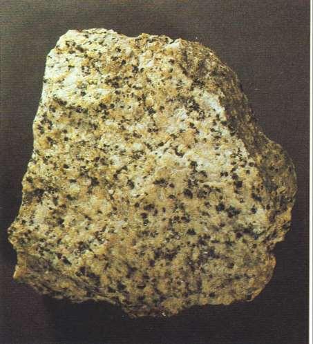 Metamorfismo dei graniti 18 Graniti Ortogneiss Ortogneiss