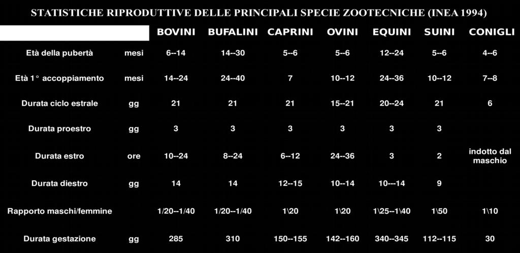 L ipotalamo agisce sull ipofisi tramite due neurormoni: 1. FSH-RH induce la produzione ipofisaria di FSH 2.