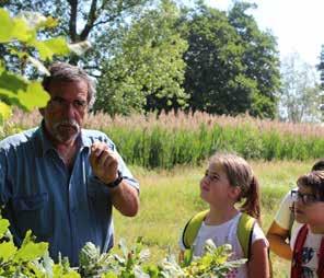 L'Offerta Didattica VISITA GUIDATA - ALLA SCOPERTA DELLA BIODIVERSITÀ Consigliato a: Classi Quarte e Quinte delle Scuole Primarie; Scuole Secondarie di Primo Grado; Scuole Secondarie di Secondo Grado