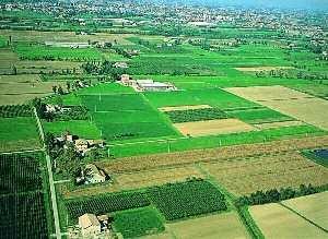 In Italia le pianure sono piccole e si trovano vicino ai fiumi e alle coste. La Pianura Padana è la più grande e si trova nell Italia Settentrionale, tra le Alpi e gli Appennini.
