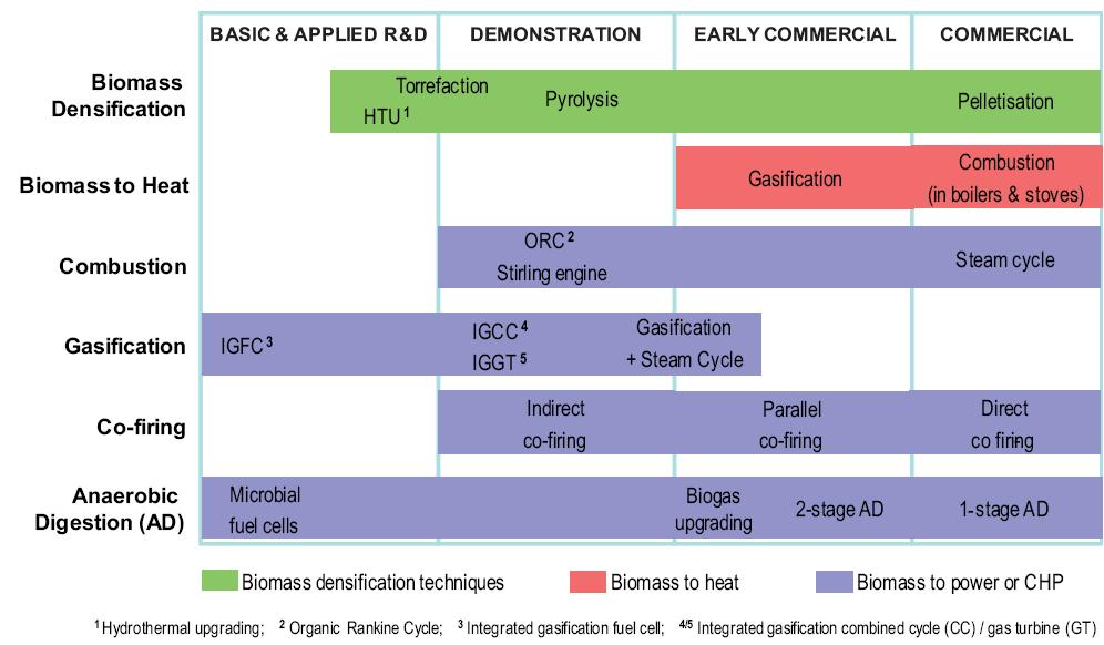 Localizzazione attività di ricerca ENEA sulle biomasse IEA -Status of Technologies Source: E4tech, 2009