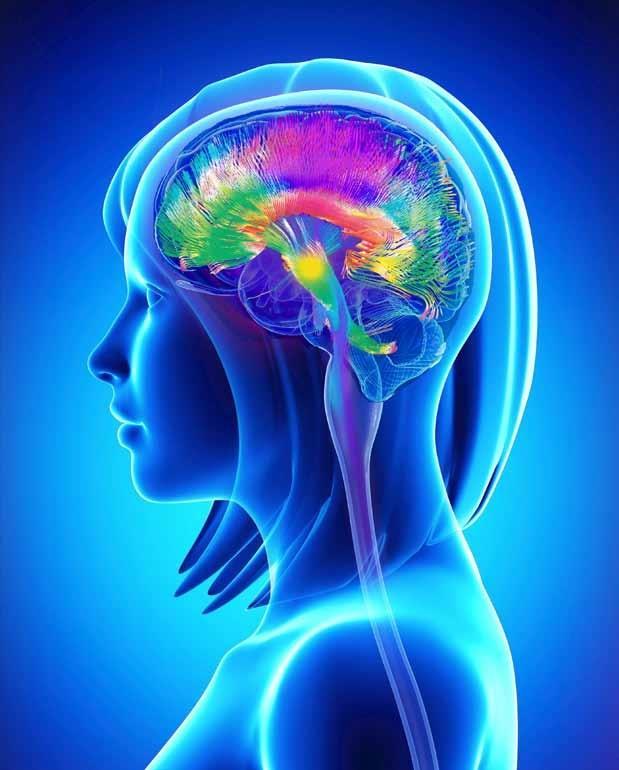 STRESS E MALATTIA La medicina psicosomatica studia i rapporti tra mente (psiche) e corpo (soma).