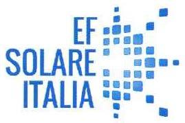 CHI SIAMO EF Solare Italia è il primo operatore di fotovoltaico in Italia, con circa 390 MW installati È una joint venture paritetica societaria tra Enel Green Power (primario player