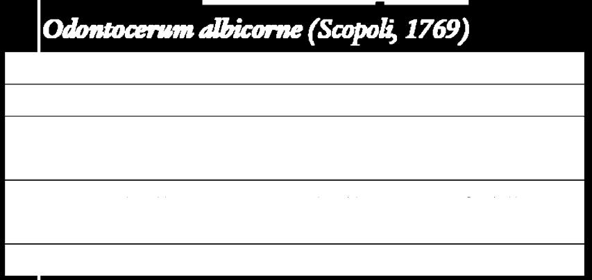 I Tricotteri risultano presenti in tutte le acque dolci, sia correnti che stagnanti,