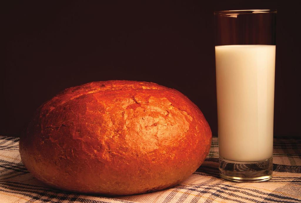 PANE AL LATTE Programma: Pane bianco Doratura: Crosta media Ingredienti per 1 pagnotta media 230ml di latte 100ml d acqua 500gr di farina bianca 1 ½ cucchiaino di sale 2 cucchiaini di zucchero