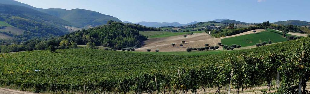 Le Marche, si sa, sono l insieme di tante pluralità e singolarità. Cológnola è un toponimo, un angolo di paradiso nel Comune di Cingoli in provincia di Macerata.