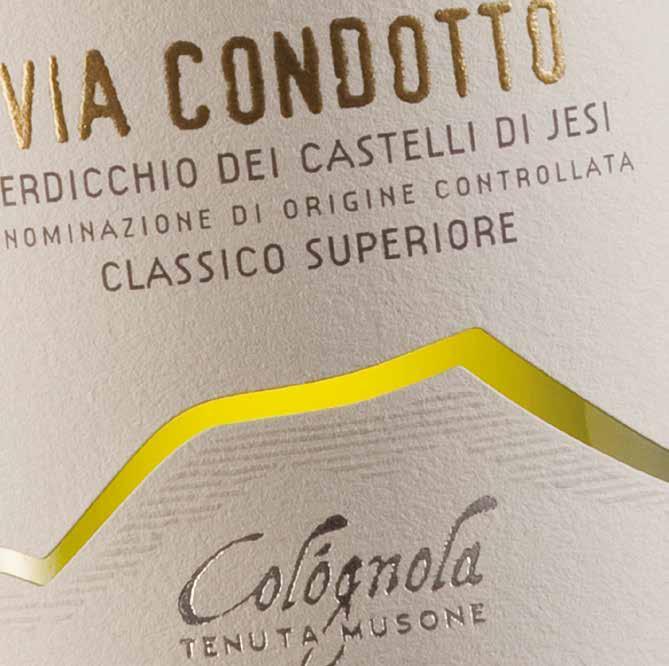 VIA CONDOTTO Verdicchio dei Castelli di Jesi DOC Classico SUPERIORE Vino dal colore giallo paglierino con riflessi verdi, ottenuto dalla vinificazione di uve verdicchio.