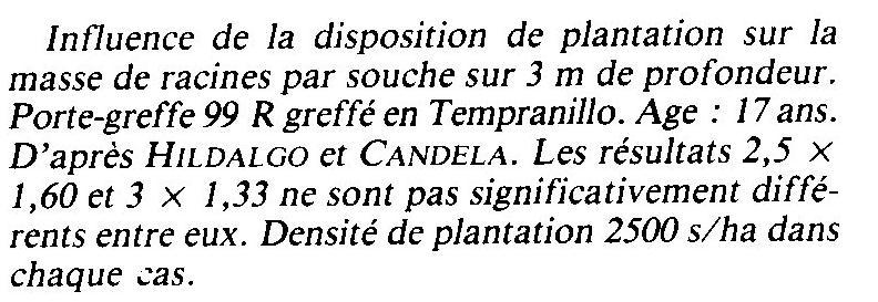 SVILUPPO DELL APPARATO RADICALE DELLA VITE in funzione della disposizione delle piante: 2500 viti /ha Distanze 2,5x 1,6