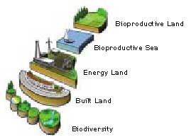 Come si calcola l impronta Le categorie di territorio Terre bioproduttive: pascoli,terre per