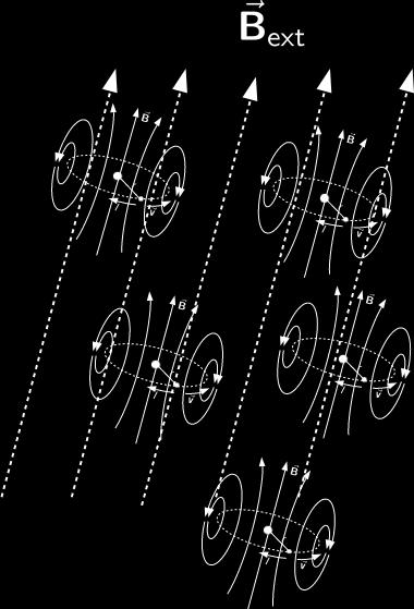 nichel) i campi magnetici tendono ad allinearsi in presenza di un campo magnetico esterno anche molto debole In questi