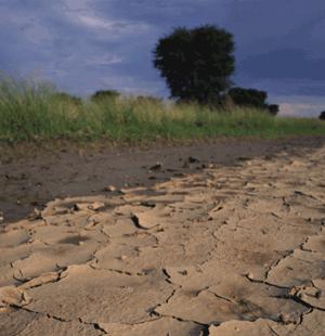 aria, il clima sta cambiando Le emissioni globali dell agricoltura