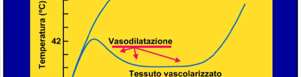 vascolarizzati che quindi