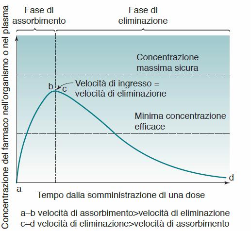 Curva di