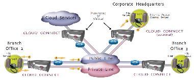 raccomandato Revisione frequente Organizzazione strutturata 2 4 sedi in rete virtuale privata 2 5 server