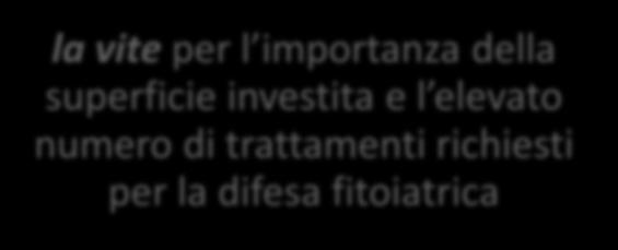 coltivazione la vite per l importanza della superficie