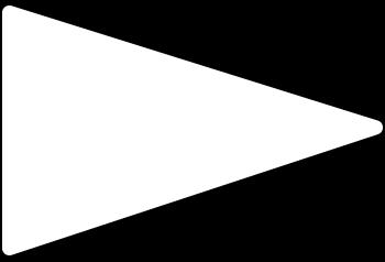 La bandiera sociale è a strisce orizzontali arancio e bianche, con la scritta: Società Canottieri Ongina. Articolo 2 Scopo 1. L associazione à apolitica e non ha scopo di lucro.