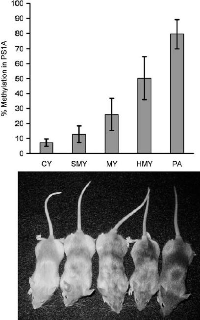 Effetti delle modificazioni epigenetiche sulla progenie In