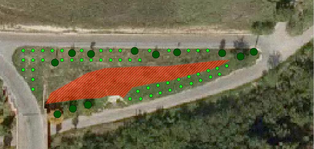 2- Operazioni preliminari e messa a dimora La messa a dimora degli alberi sarà preceduta dalla pulizia della vegetazione erbaceo-arbustiva invadente.