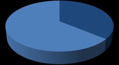 Figura 11. Percentuale di società con brevetti depositati Figura 12.